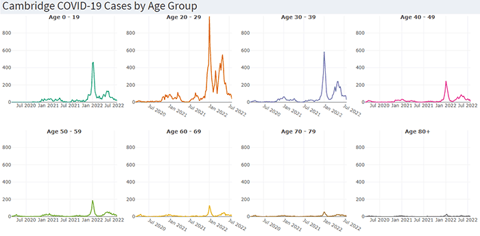 Covid Cases by Age Group
