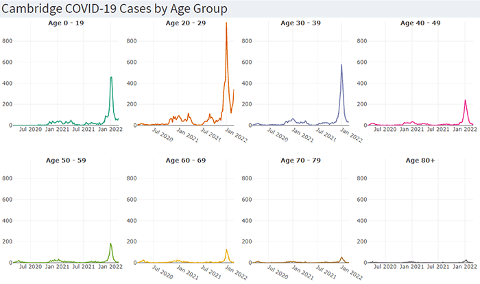 Covid Cases by Age Group
