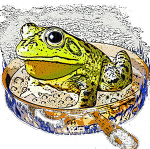 Boiling Frog