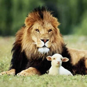 Lion or Lamb?
