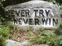 Never Try Never Win