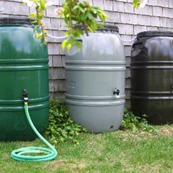 Rain barrels